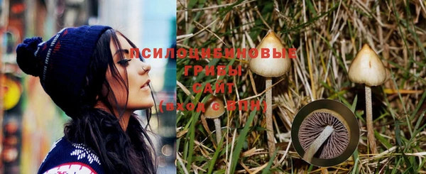 бошки Магас